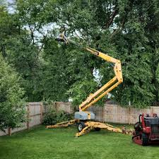 Artificial Turf Installation in Brookside, AL